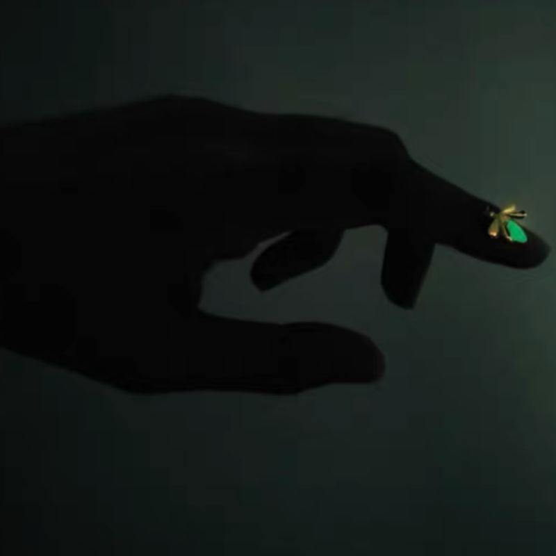 Glow In The Dark Firefly Bracelet - The Chubby Paw