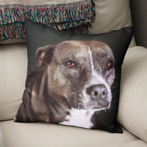 The Chubby Paw Personalized Pet Square Cushion gifts for pet animal dog lovers 