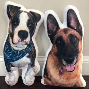 Customized Pet Pillow - The Chubby Paw 